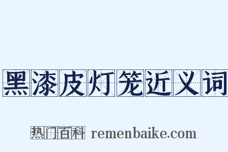 黑漆皮灯笼近义词是什么意思的图片